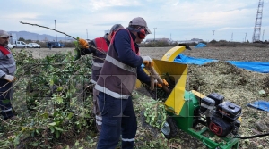 BYKEHR, PARK VE YEL ALANLARDAK ORGANK ATIKLARI VERM ARTTIRMAK N KULLANIYOR